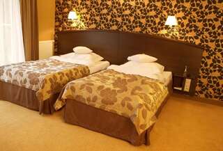 Отель Hotel Warszawa Spa & Resort Августов Двухместный номер с 1 кроватью или 2 отдельными кроватями-1